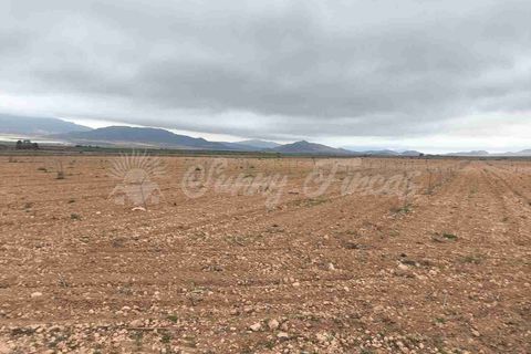 Helårsgrund i Yecla, Murcia, Yecla - € 47.000 | Ref: SF0566 - foto 2